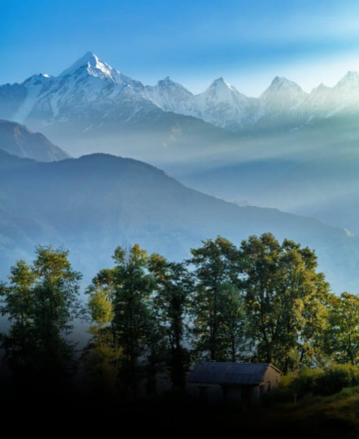 Munisiyari Tour Packages